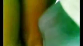 Lovelace giovane ros ...