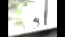 Venditore cazzo di u ...