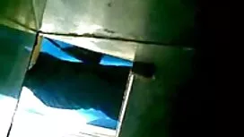 Sveglia, piccola fig ...