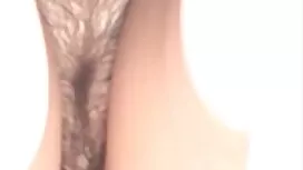 Esplora la Russia pe ...