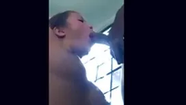 Cagna scuote grande  ...