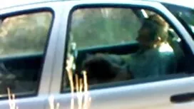 Guarda sesso su bion ...