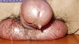 Bene, porta donne in ...