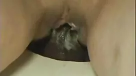 Peloso maturo fabbri ...