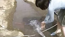 Abbastanza grasso pe ...