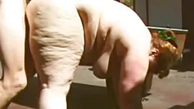 Lontano giovani porc ...